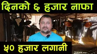 दिनको ६ हजार नाफा कमाउन मात्रै ५० लगानी भए पुग्छ ! अनुभव भने चाहियो, पेसामा टिक्न पर्यो||kiranpaudel