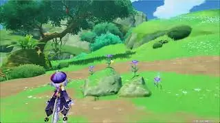 Observe the Sumeru Roses to find the hidden song | Genshin Impact