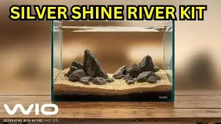 WIO Silver Shine River Kit Unboxing and Aquascape