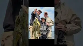 #williamsnarrowsresort #minnesota #fishing #upnorthmn #exploreminnesota #lakewinnie #walleye #perch