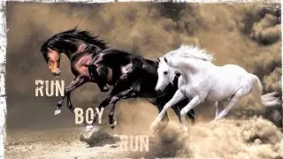 Equine Edit ~ Run Boy Run