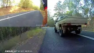 Bully on Old Gympie Road