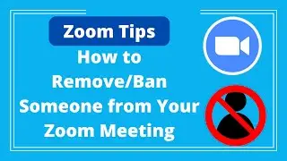 Советы по Zoom: Как удалить/заблокировать участника в Zoom-конференции &mdash; Логан Клементс
