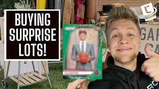 Can you make BIG MONEY finding a mystery lot on eBay?