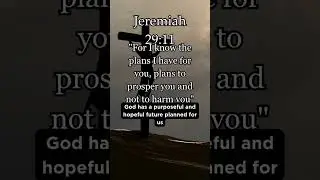 God's Perfect Plan For Your Life ✨ | Jeremiah 29:11 #Hope #Future #GodsPlan