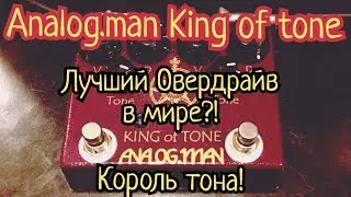 Лучший Овердрайв в мире!? Analog.man King of tone. Король тона.