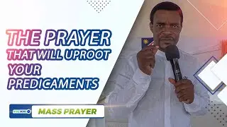 The Prayer That Will Uproot Your Predicaments | Pray Along With Apostle S.S Shoombe