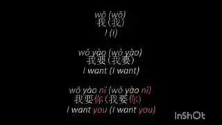 Wo yao ni de ai - Grace Chang