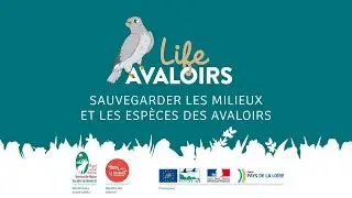 Le projet LIFE Avaloirs