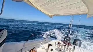 50 miles offshore solo in the Gulf Of America.