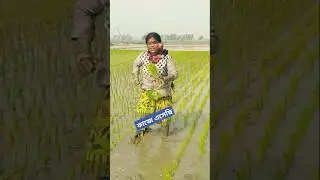 Roop Sagar Rupali#dance #shorts #video #