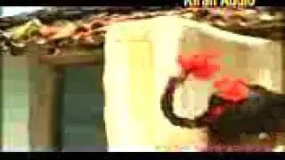 Titi tiyan Nagpur video