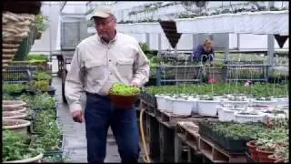 Good Agricultural Practices