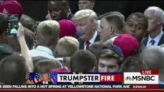 Rick Wilson says shitty on MSNBC