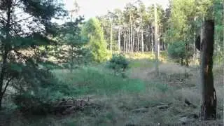 Amazing long distance slingshot shooting 100m, 330feet