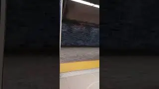 Типичная поездка на монреальском метро в непиковые часы.