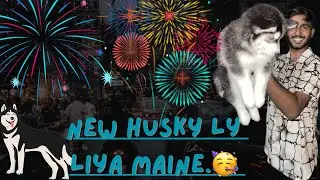 | I surprise 😮 my family 🏠 with husky puppy 🐶 |🥳
