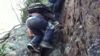 Jingera