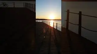 Firlej
