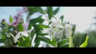 Colour-grading random shots (Sony SLog-3 footage)