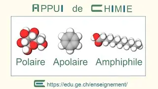 Cette mol&eacute;cule organique est-elle polaire, apolaire ou amphiphile ? (appui)