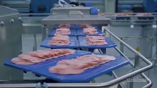Weber Sandwich Solution