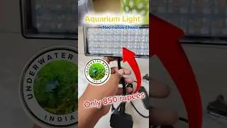 Unboxing neo helios 13watt light from Underwater Nature India | #shortsfeed#shorts#viral#fish