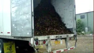 Getting chips loaded in my truck
