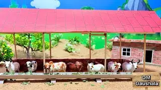 Diy Mini Cemented Animal House Construction Science Project | Cow Shed Project @OmCreatordiyfarming