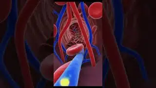 How Yogurt Transforms Your Body From Inside &mdash; Science Explained
