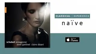 Schubert - Arpeggione, Sonatina & Lieder Transcriptions - Anne Gastinel (Full Album)