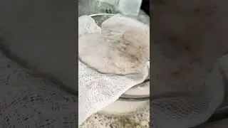 HOW TO USE A CHEESECLOTH #cooking #cookingtips
