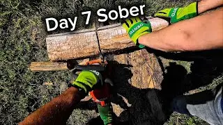 Cutting Firewood with My Dad (Day 7 Sober) | Hungarian Village Life 🇭🇺