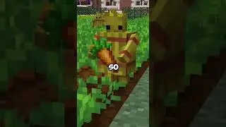 Minecraft&rsquo;s Newest Golem!