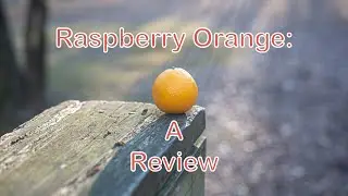 Raspberry Orange: A Review