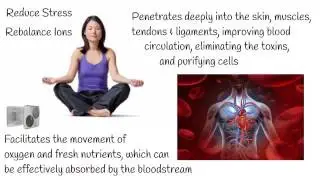 HELO Benefits in 5 min healthystate