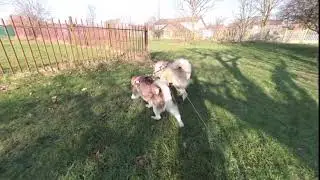 Shake Stabilisation Test VuzeXR (3D 180 VR)