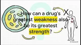 4 Nystatin  Polyene Antifungal Mechanism and Uses