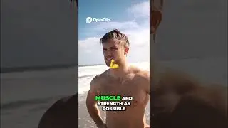 Build Muscle & Lose Fat Simultaneously  The Science Explained