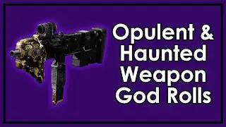 Destiny 2: The Best Weapon Rolls for Austringer, Beloved, Mini-Tool and the Haunted Weapons