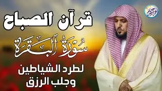 سورة البقرة ” كاملة ‟ بصوت الشيخ ماهر المعيقلي ✦ Sourat al baqara maher almuaiqly