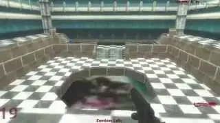 Call of Duty World at War Super Mario 64 Zombies Preview