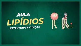 Bioquímica - #05 - Estruturas e Funções dos Lipídios