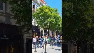Lello Bookstore in Porto PORTUGAL #shorts #porto #portugal