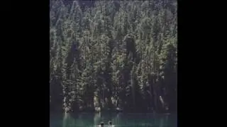 David Chief - roots (them trees)