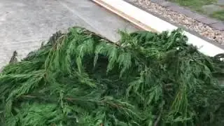 Customer didn&rsquo;t pay for work