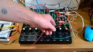 ornament 8