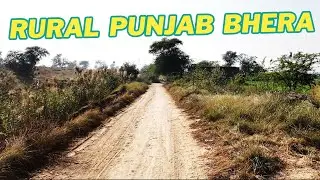Bhera Village Fields & Scenic Views | Northern Punjab 4K Travel Vlog 2025 | Pure Rural Beauty
