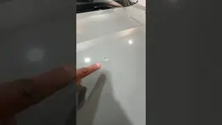 Bird droppings damage the paint