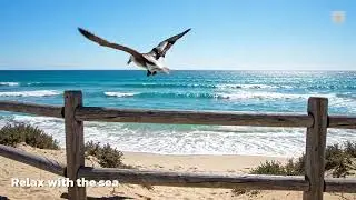 🎧 Music Relax Sea Bloom Piano &ndash; ดอกไม้ริมทะเลที่ผลิบานในใจ